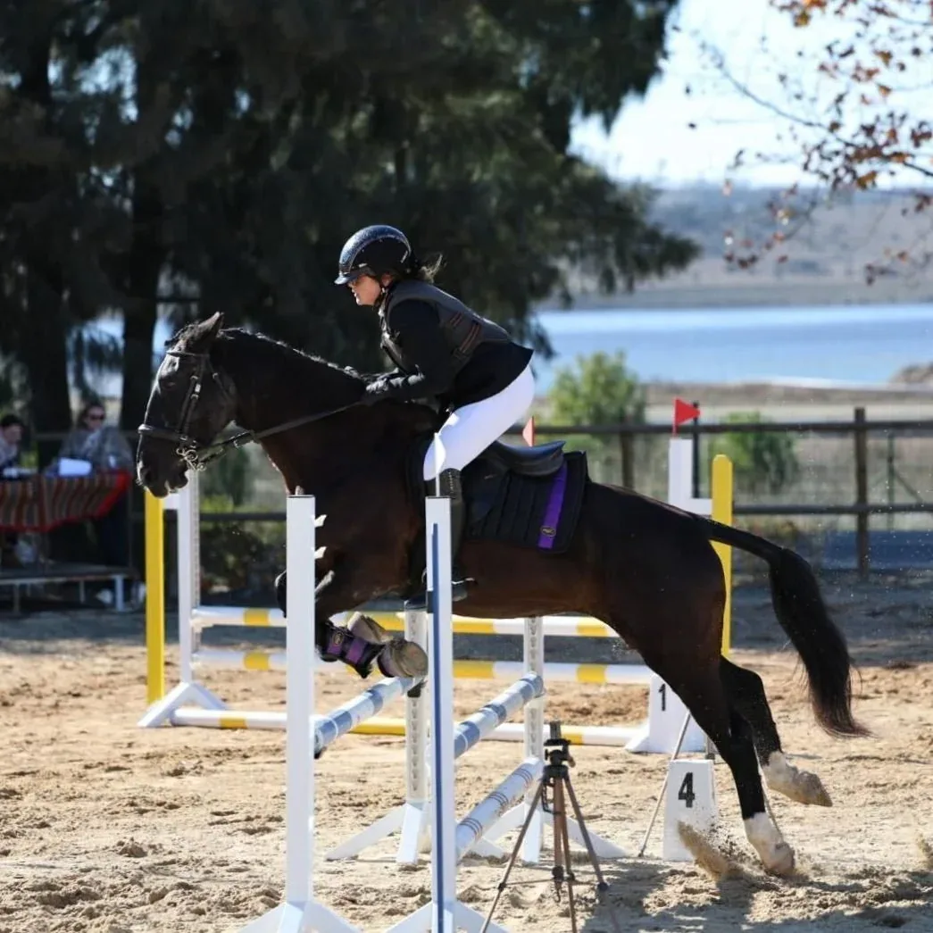 Show jumping lesson at QPA