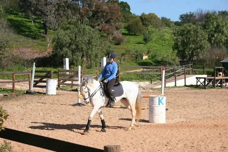 Horse riding lesson at QPA