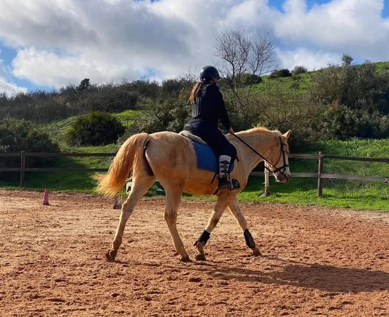 Riding lessons at QPA