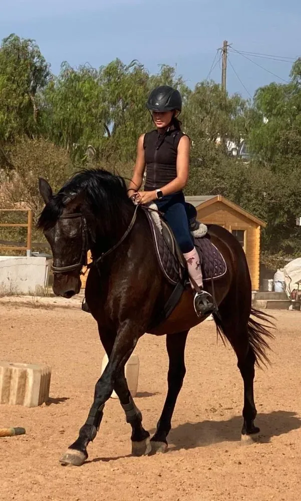 Horse riding lesson at QPA