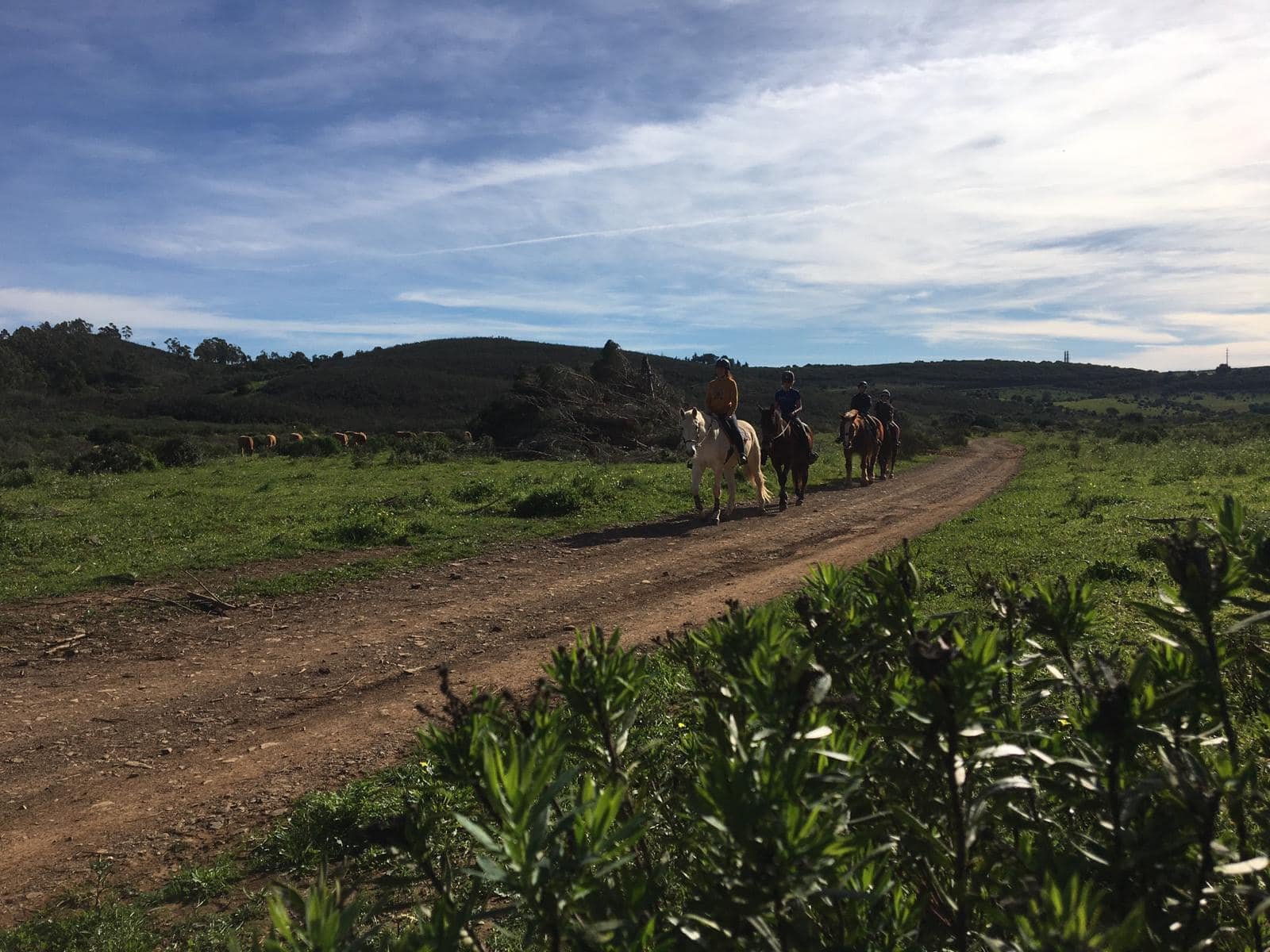 Riders on horseback through the Algarve countryside trails at Quinta Paraíso Alto