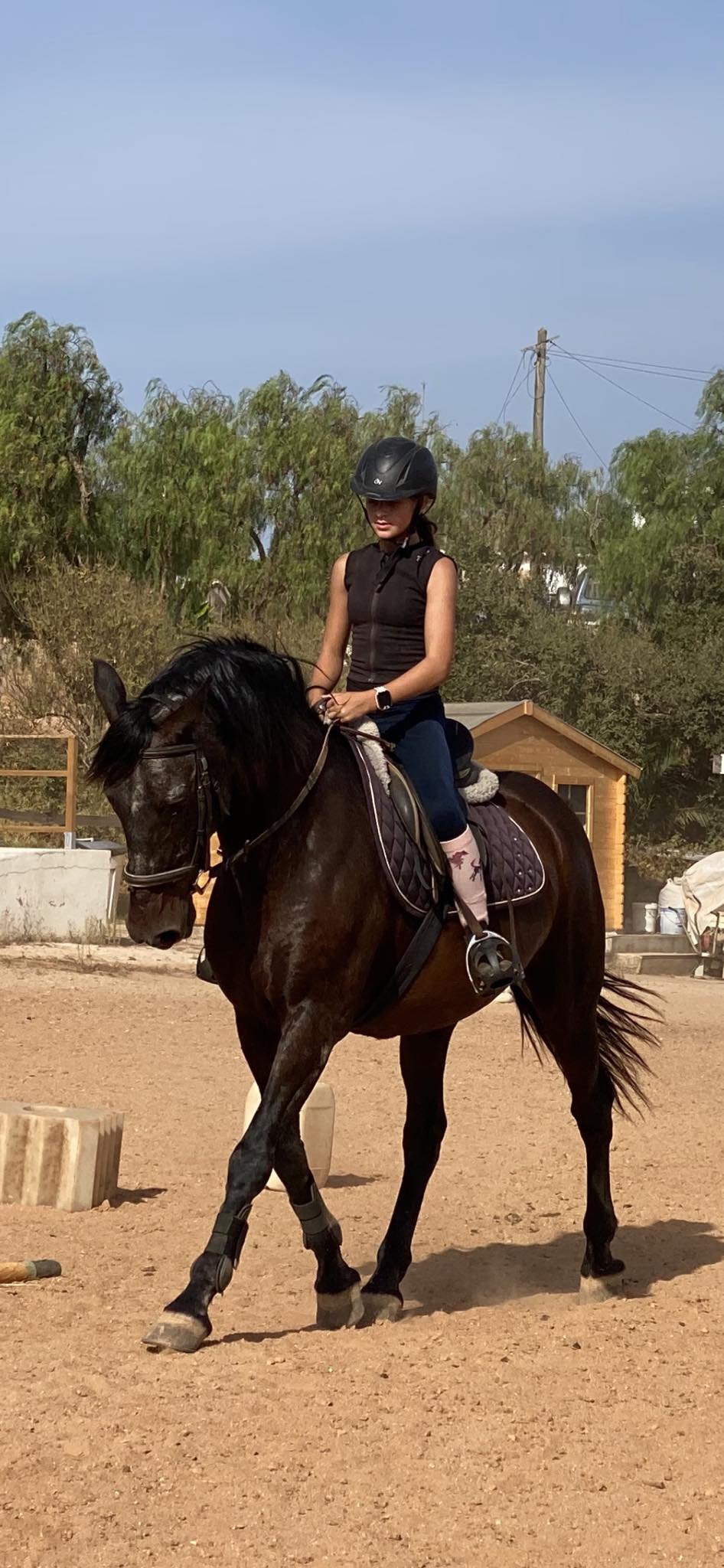 Horse riding lesson at QPA