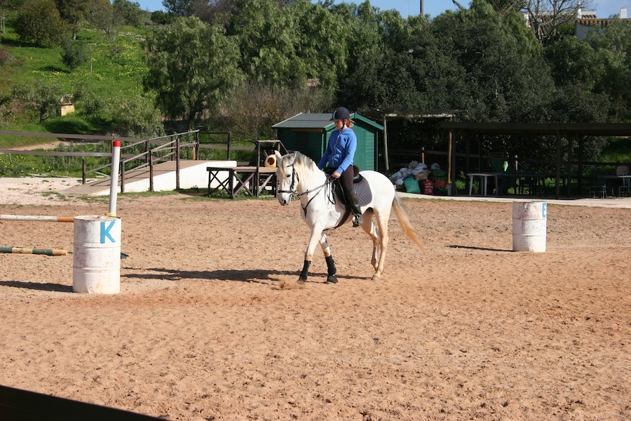 Horse riding lessons at QPA