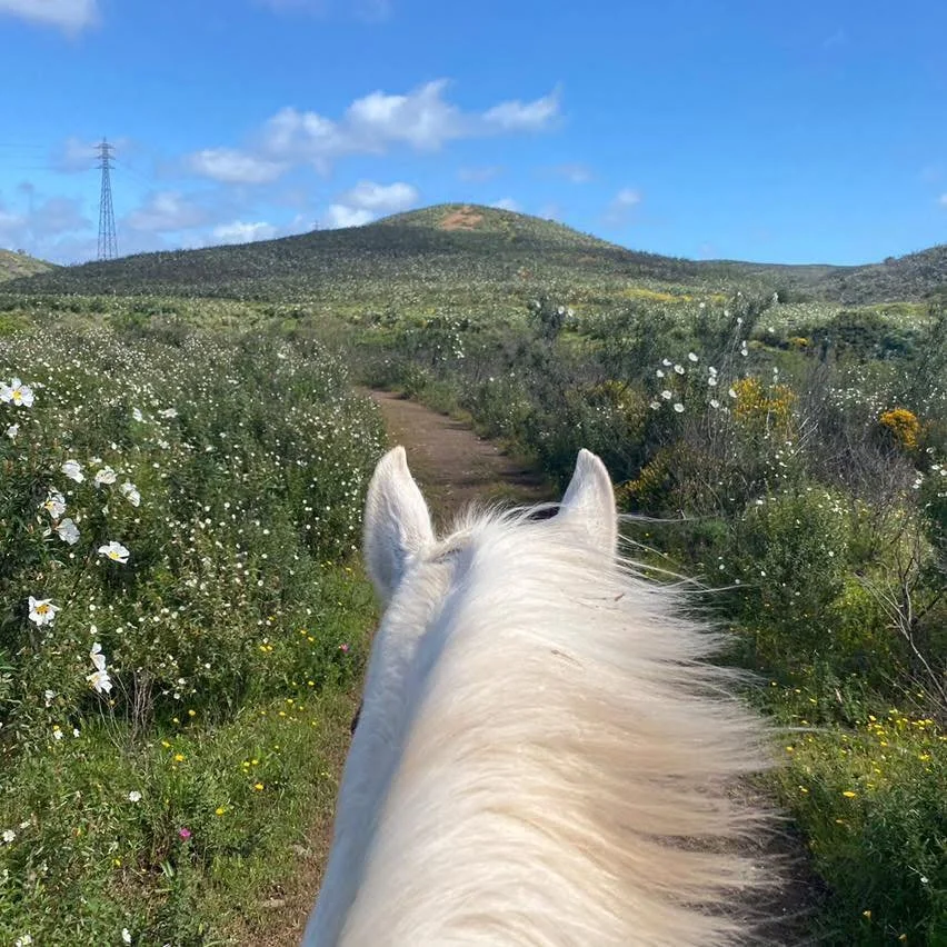 Riders on horseback through Algarve countryside trails