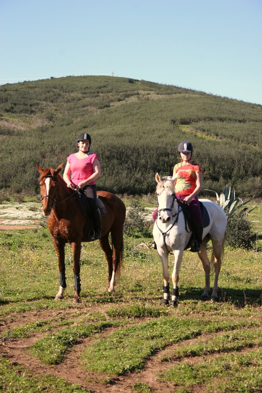 2-hour trail ride through Algarve countryside